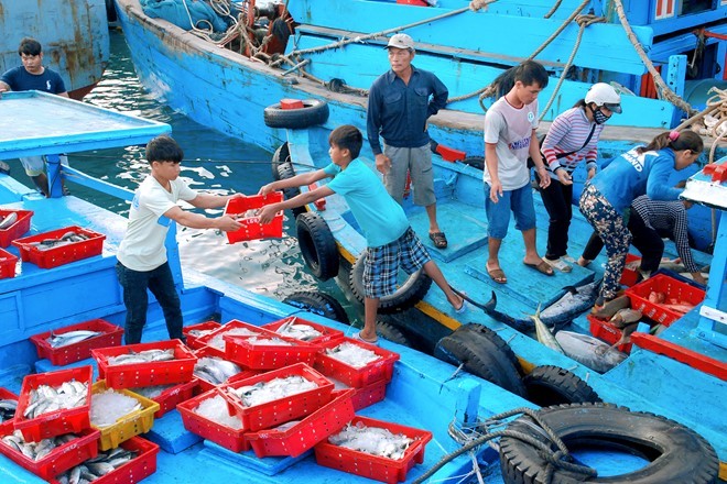 Một trong những  chợ hải sản giá rẻ nổi tiếng nhất ở Việt Nam đó là chợ hải sản tại cảng Phú Qúy thuộc đảo Phú Qúy, tỉnh Bình Thuận. Cách đất liền đến 56 hải lý nhưng khu chợ này luôn luôn thu hút một lượng lớn tiểu thương cũng như khách hàng mỗi ngày.    